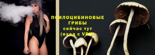 стафф Алексеевка