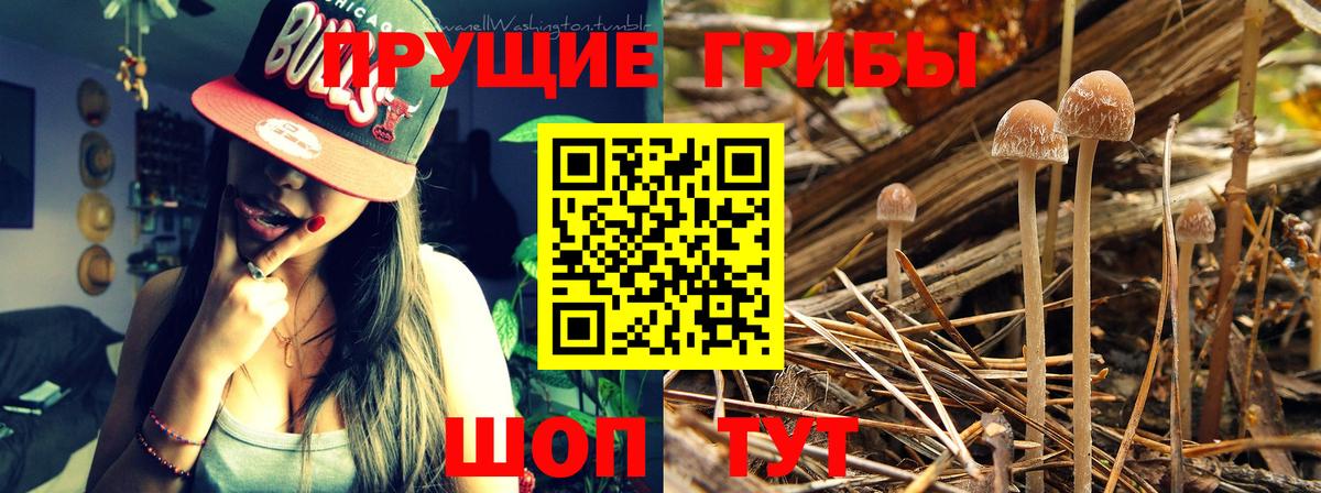 Псилоцибиновые грибы ЛСД Глазов