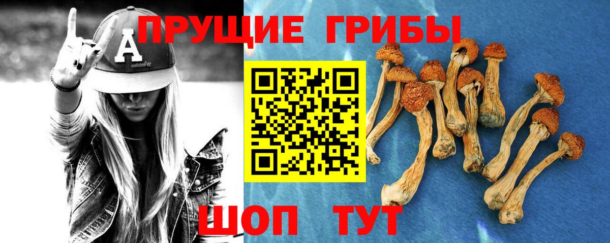Глазов  Галлюциногенные грибы Magic Shrooms  Вход с VPN  Псилоцибиновые грибы Psilocybe 