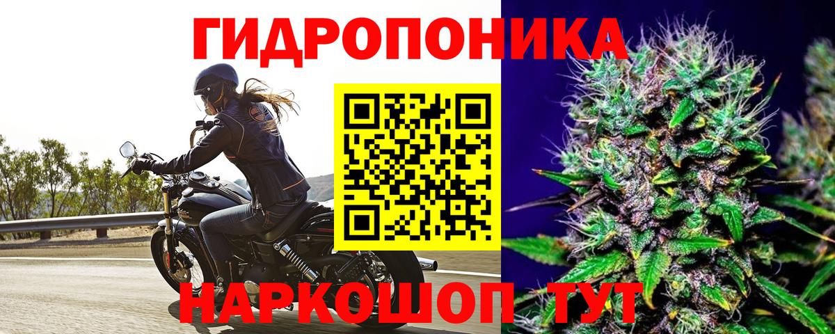 Бошки Шишки LSD WEED  Конопля Ganja  Глазов  Канабис семена  Вход с VPN  Каннабис LSD WEED 